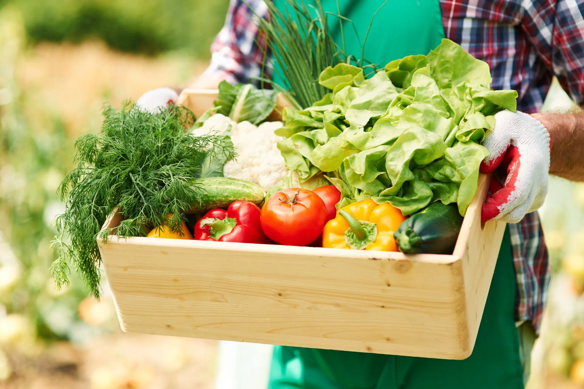 What is Organic Farming? Why Does It Matter?