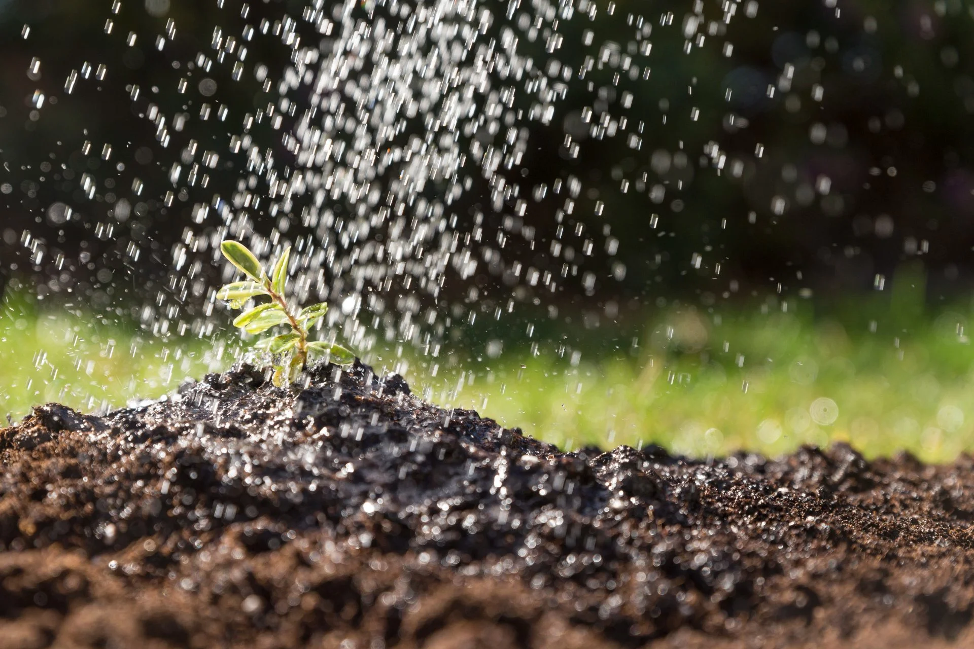 Stratégie agricole de la Turquie pour 2026 : Priorité à l'irrigation et à la gestion de l'eau